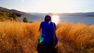 Rear View One Person Standing Three Quarter Length Nature Real People Mid Adult Sunlight Tranquility Landscape Sunset Grass Scenics Leisure Activity Only Women Lifestyles Outdoors Growth Beauty In Nature Adventure Beautifulbc Kelowna Sunlight Wheat Rural