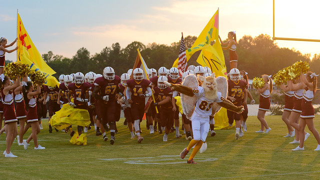 Here come the Gryphons