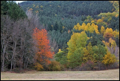 couleurs d'automne en Velay 36625813522_48a78dff1b