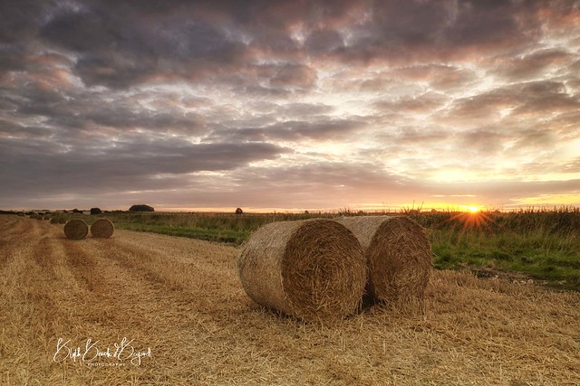 Straw Bales in the Sunset