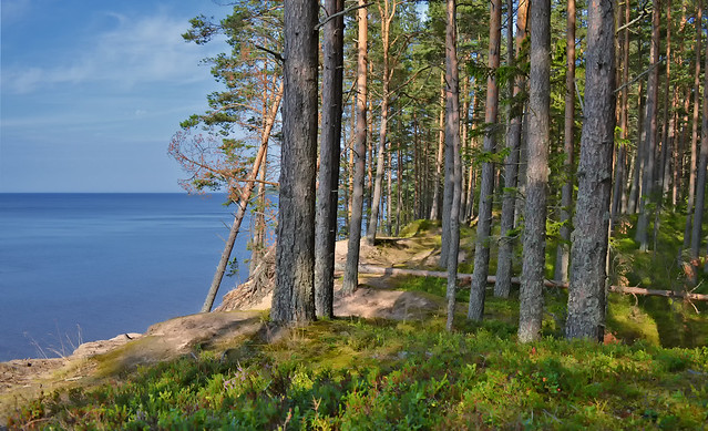 Konevitsa (Hevossaari), Laatokka. 💚 Island on the lake. Summer.