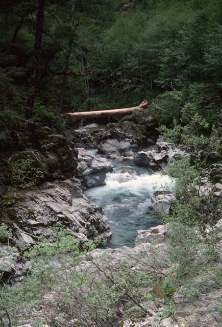 Small Waterfall, Rogue River-Siskiyou National Forest.jpg