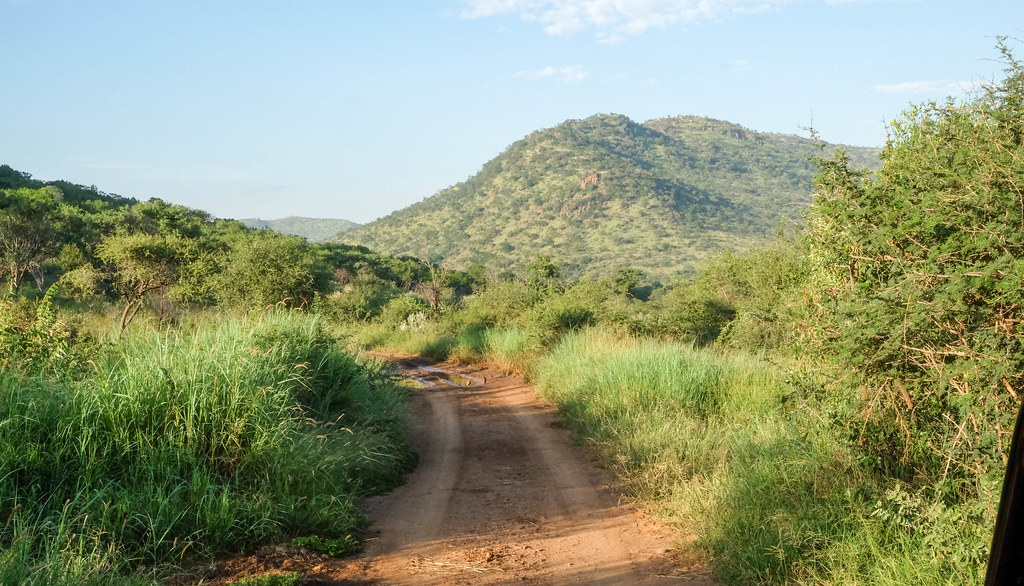 Landscape with road in Pilanesberg, South Africa