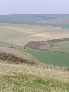 The heart of the Downs 