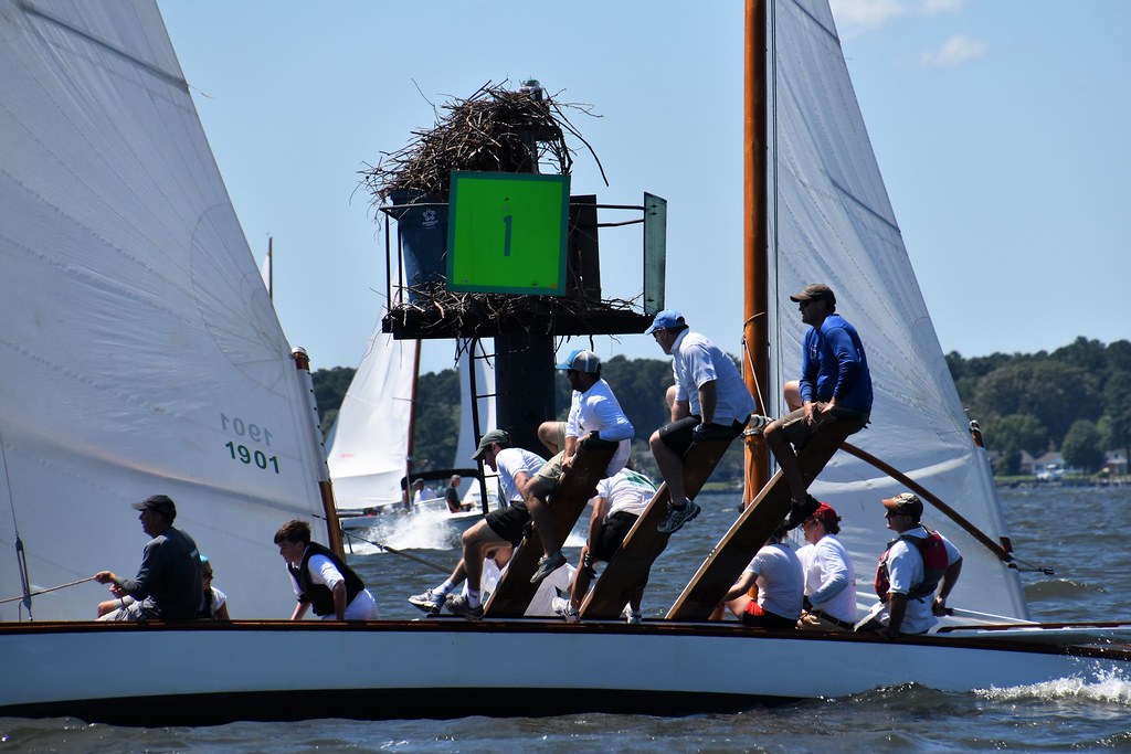 Log Canoe Races Out & About: Governor's Cup 2017 Sailing Log Canoe Races | Flickr
