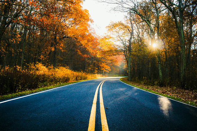 Autumn Road. Shenandoah National Park.