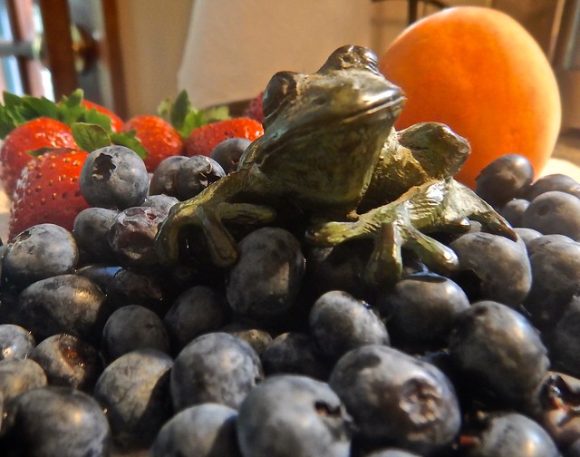 Frog and Fruit