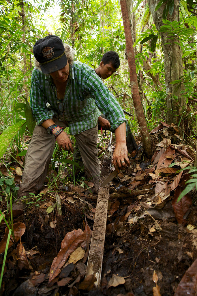 Center for International Forestry Research (CIFOR) scientist takes a soil sample to be analyzed.