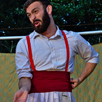 The Handlebards and the Midsummer Night's Dream