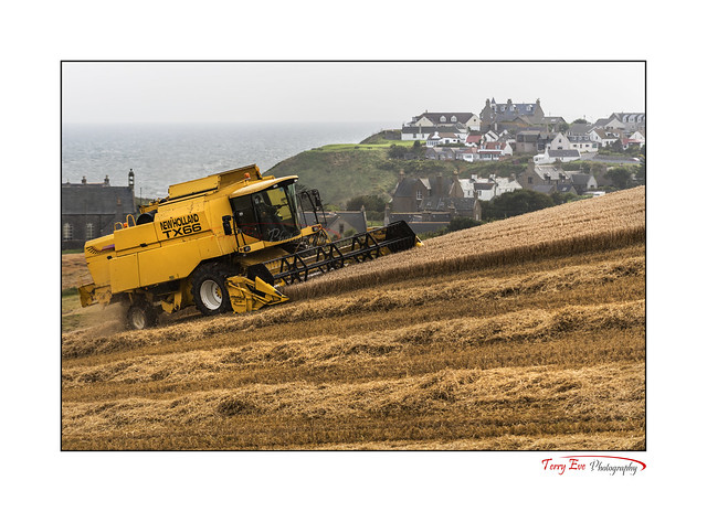 Combining The Braes_0959