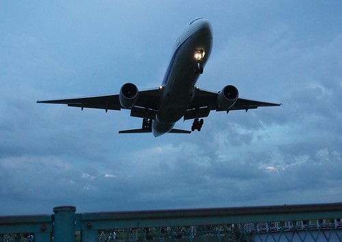 evening flight | by marionetteMay