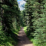 Cascade Mountain Trail 2