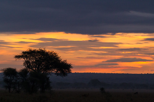 africa tarangirenationalpark outdoors tanzania wildlife chemchem littlechemchem safari manyararegion tz clouds dawn sunrise gettyimages