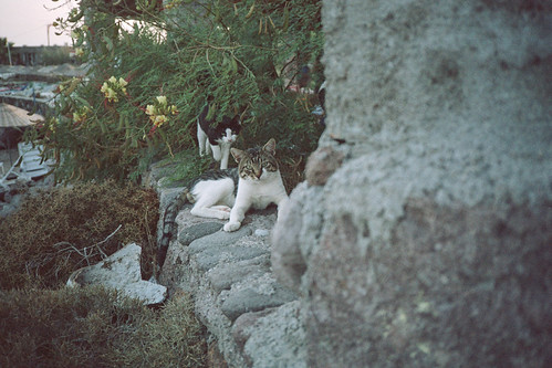 20170906-scan0030-2 | by yabankazi