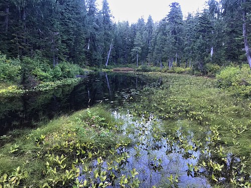 High lake