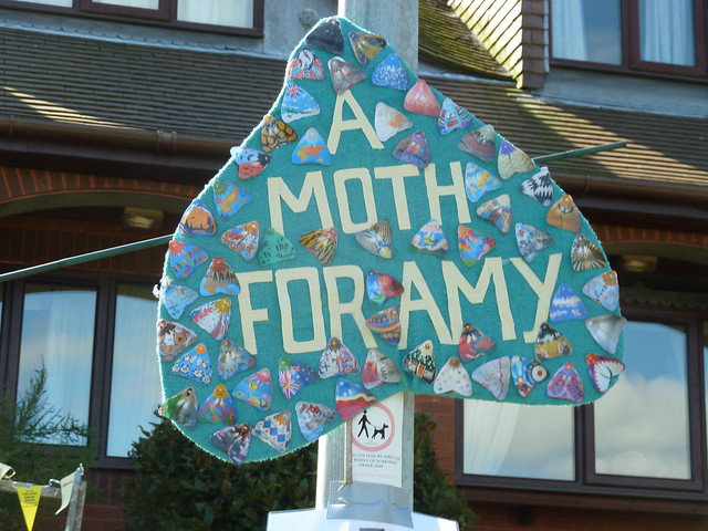 A Moth of Moths