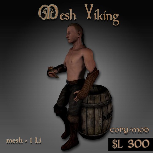 Mesh Viking | by Seraphina Stormcrow