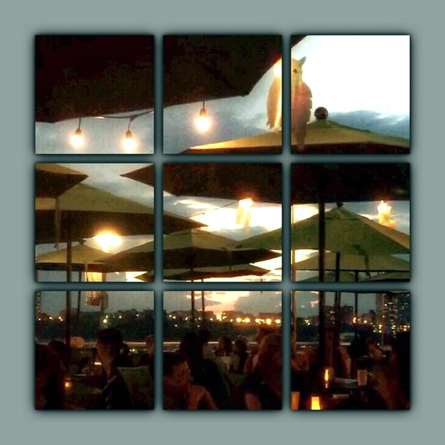 Sunset, Pier 1 Cafe, Riverside Park, Hudson River, New York City.
