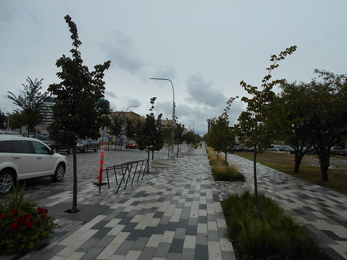 Trees planted at Armature 96th Street: Edmonton, AB, 2017 | by DeepRoot Green Infrastructure