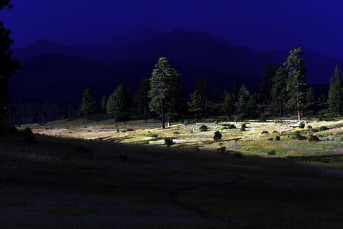 moonlight trees meadow landscape glowing green gold blue red yellow light grass forest colorado pagosasprings rockymountains etherial