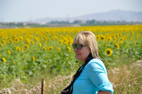 Cody Sunflower and Sandy