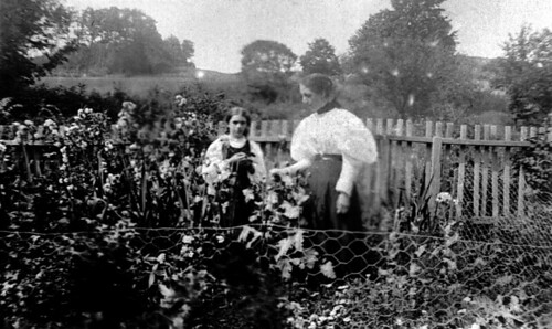 1897 argyle thehook washingtoncounty newyork huggins garden