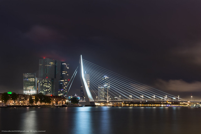 Erasmus bridge Rotterdam at night