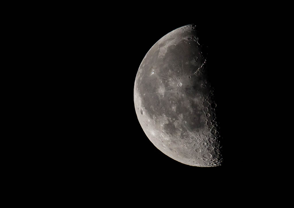 Halmoon Nature & WildLife | Flickr