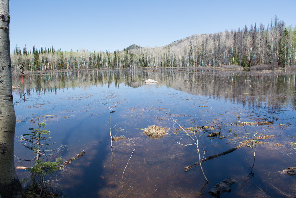 Soda Creek Trail