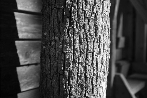 Textures | by Neal3K
