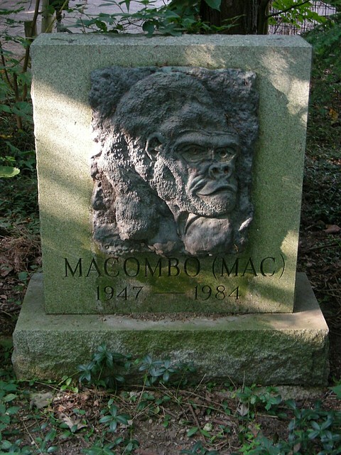 Columbus 003: Memorial to Macombo