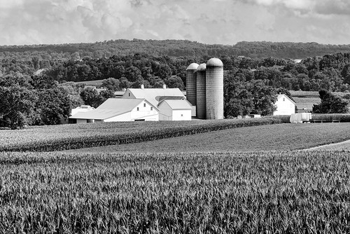 Farm Study #5 | by johnmcboston