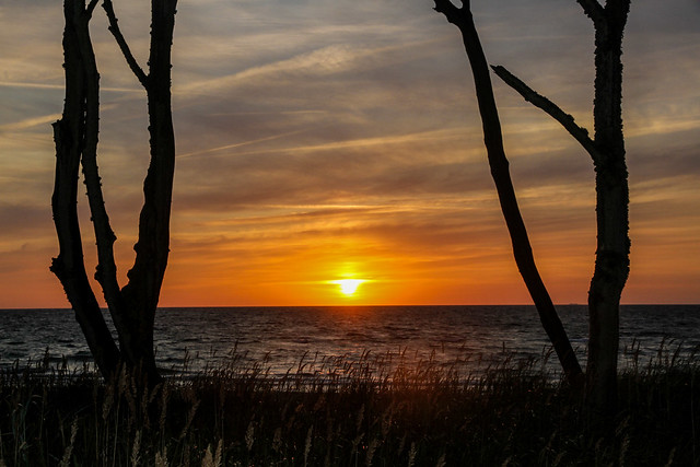 Baltic Sunset II