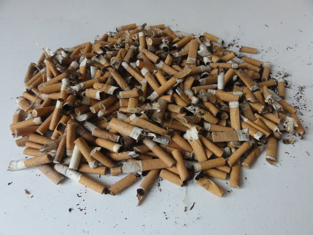 Wolfram Zimmer: The last cigarette - Die letzte Zigarette