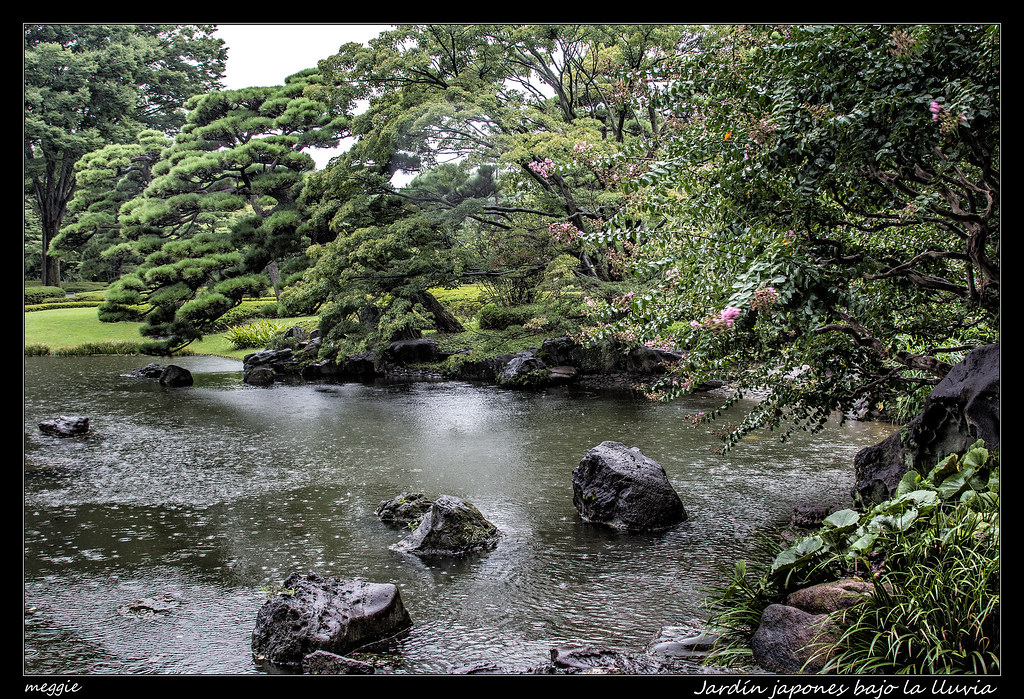 Jardín japones bajo la lluvia