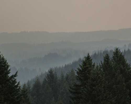 wildfire smoke haze trees sky distance view hike cztrail landscape outdoor oregon pnw aerialperspective atmosphericperspective