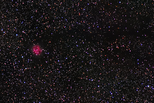 cocoonnebula stellarnursery ic5146 nikon d5500 astrophotography barnard168 nightsky cygnus night astrometrydotnet:id=nova2238151 astrometrydotnet:status=solved vintageglass regim affinityphoto ioptronskytracker sh2125