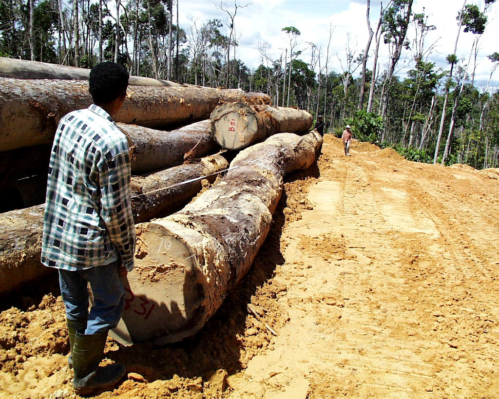 A worker measuring logs, Indonesia.