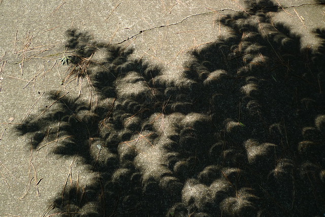 Solar Eclipse - August 21, 2017 - Raleigh, NC