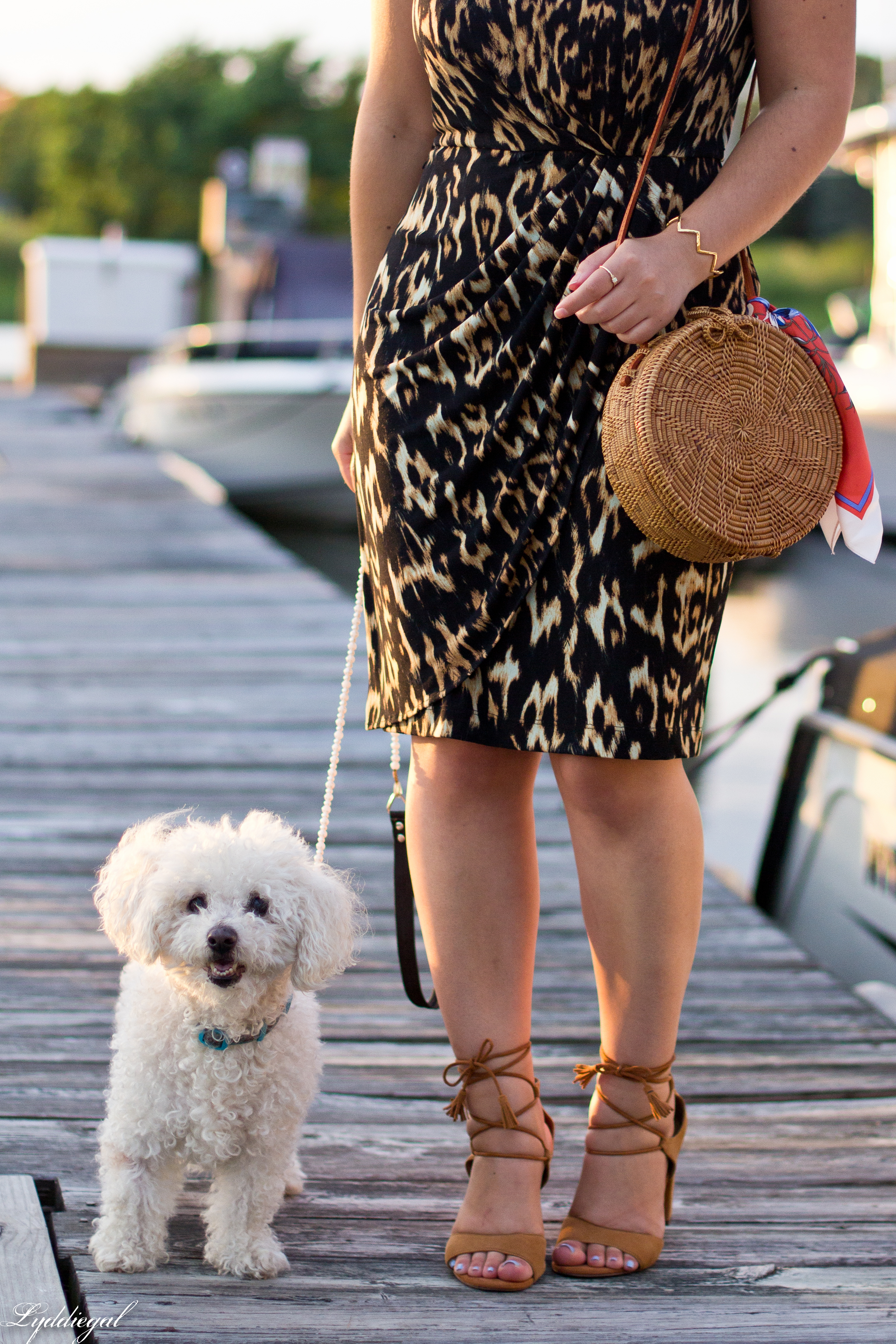 leopard sheath dress, round rattan bag, dog walking-2.jpg