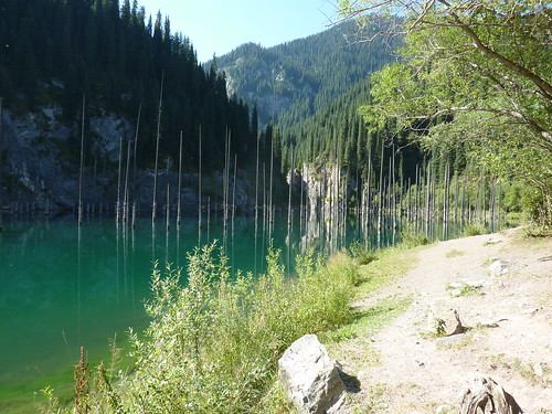 kazakhstan earthquake 1911 birch spruce озеро каинды
