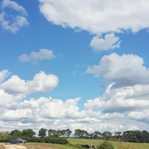 Simpsons clouds | by Sarah at Renga Design