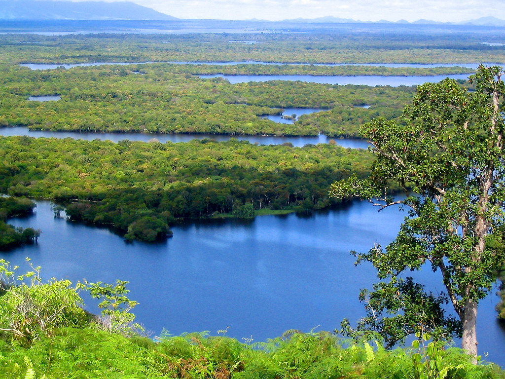 Lake Sentarum in West Kalimantan, Indonesia.