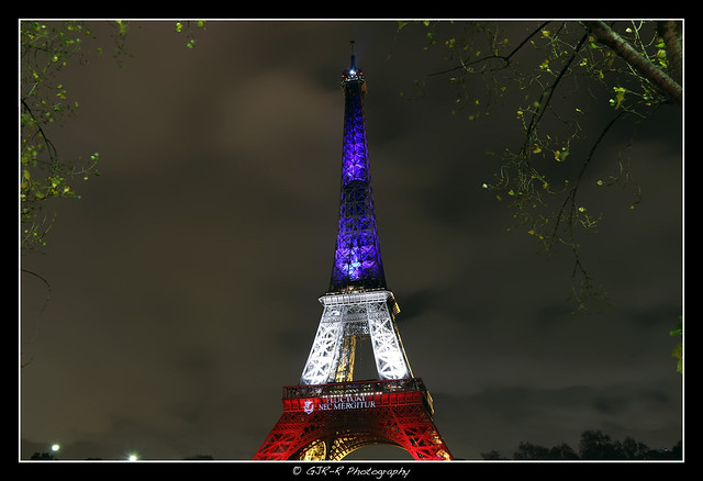 2015.11.17 Tour Eiffel by night Bleu Blanc Rouge (12)