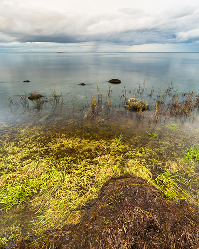 kalmarlän sverige se water vatten see sjö östersjön balticsea garpen garpensfyr clouds moln seeweed sjögräs