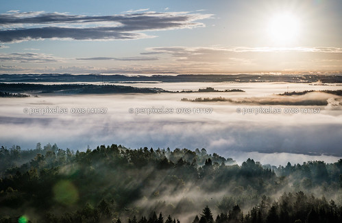 skog flygfoto dimma diseröd grönnäs nol västragötaland sverige swe