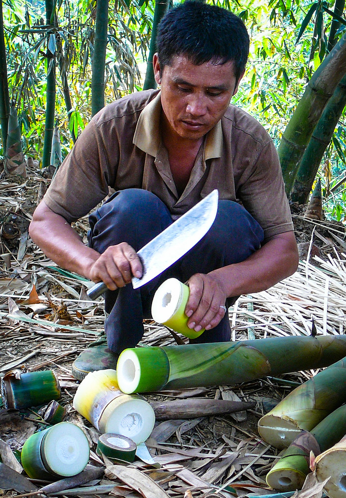 A migrant bamboo farmer prepares bamboo shoots in the plantation before they are fermented, dried and sold to the local...