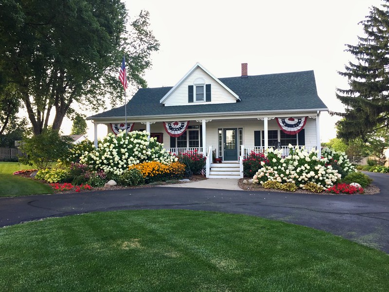 low maintenance perennials