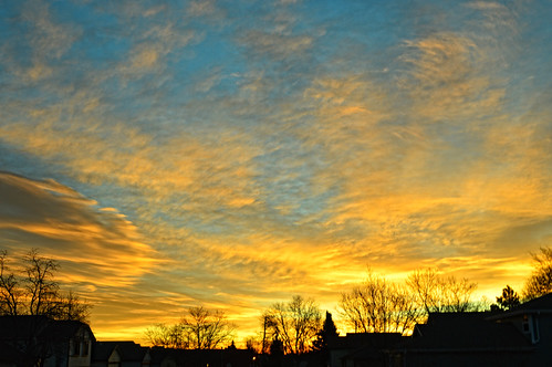 Golds by berrywine, Out my front door one morning.sunrise