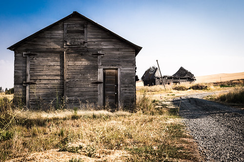 solemn landscape brush serious quiet structure summer colorful barn wreck washington abandoned scary trail architecture creepy forgotten farm dirtroad field garfield unitedstates us